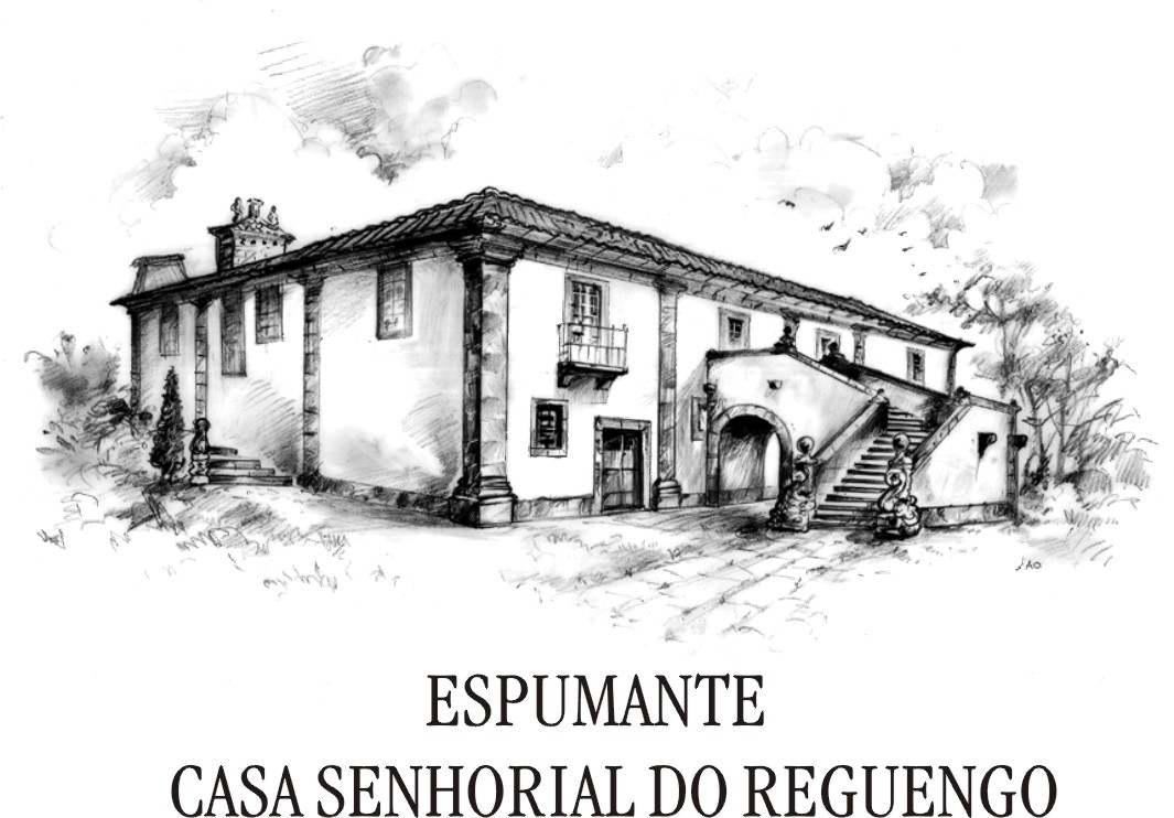 CASA SENHORIAL DO REGUENGO, AGRIC. E TURISMO LDA