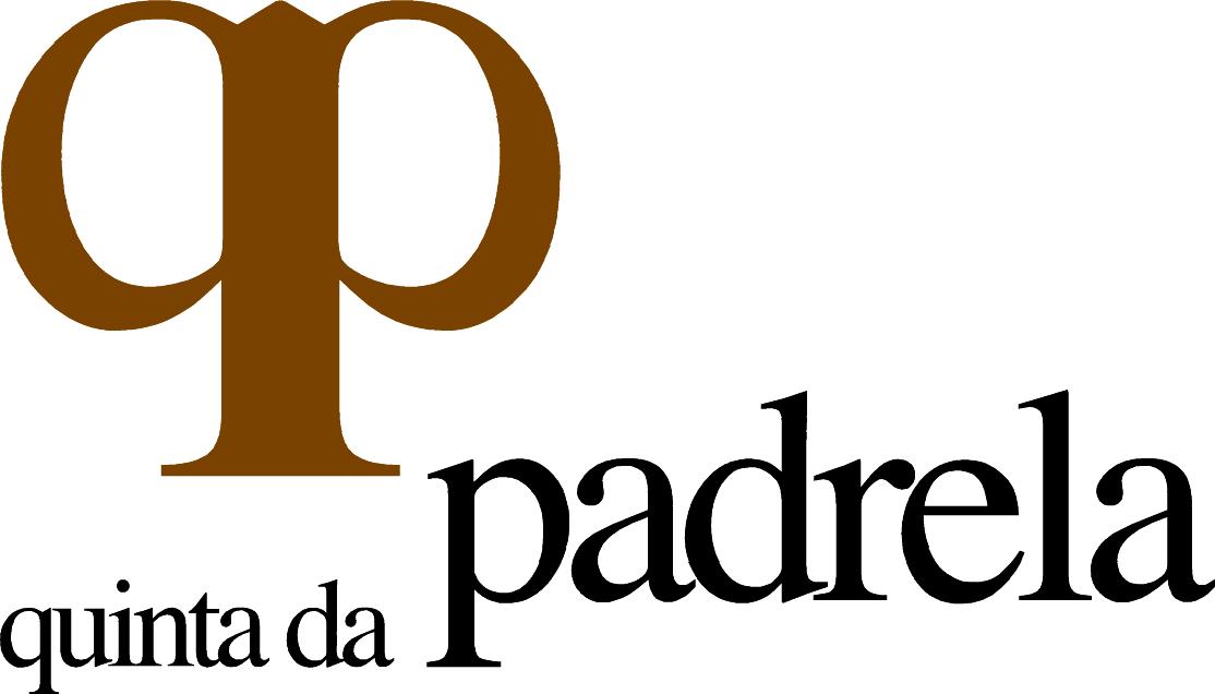 PEDRO MIGUEL MORAIS FRANCISCO