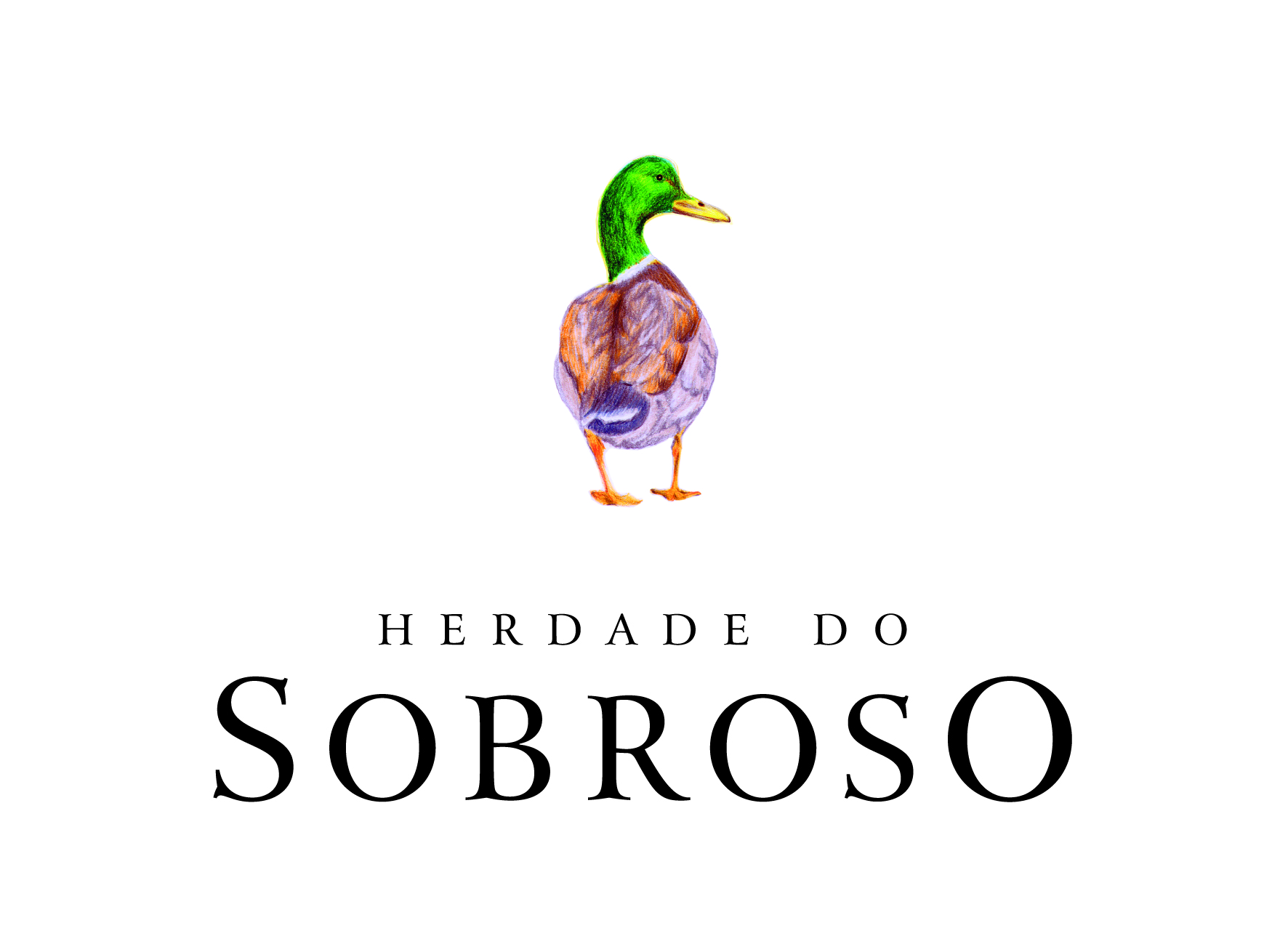 SOCIEDADE AGRO-PECUÁRIA HERDADE DO SOBROSO, LDA