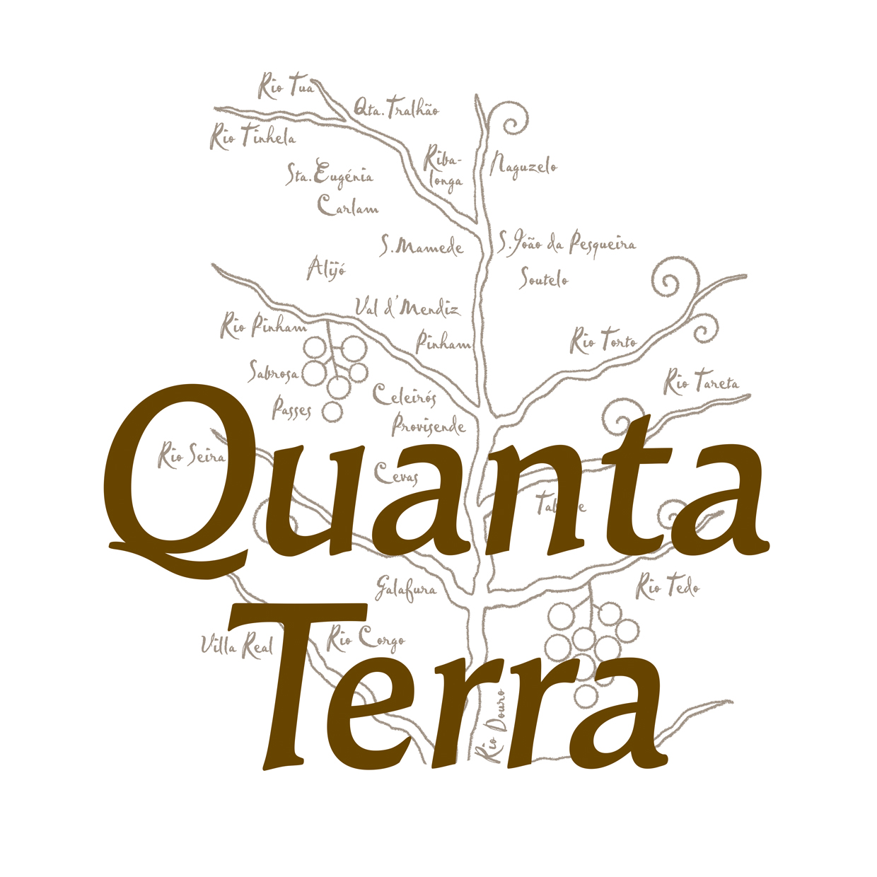 QUANTA TERRA-SOCIEDADE DE VINHOS LDA