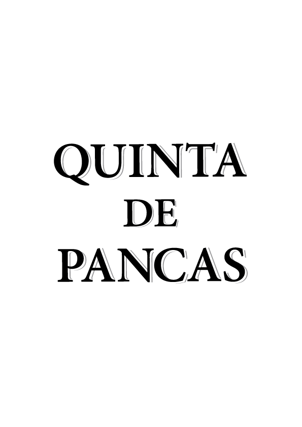 QUINTA DE PANCAS VINHOS UNIPESSOAL LDA