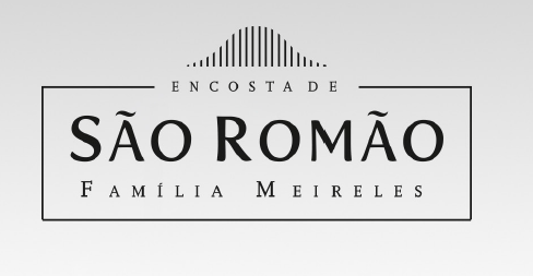 MÁRIO MEIRELES UNIPESSOAL LDA