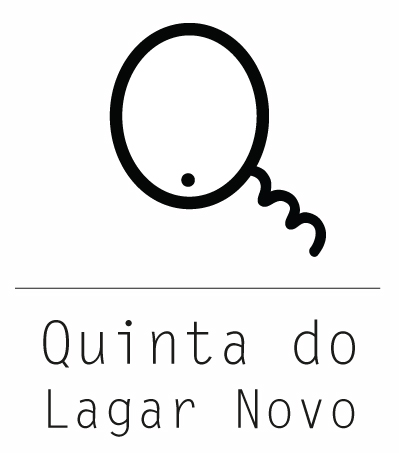 LUIS ELIAS GONÇALVES DE CARVALHO