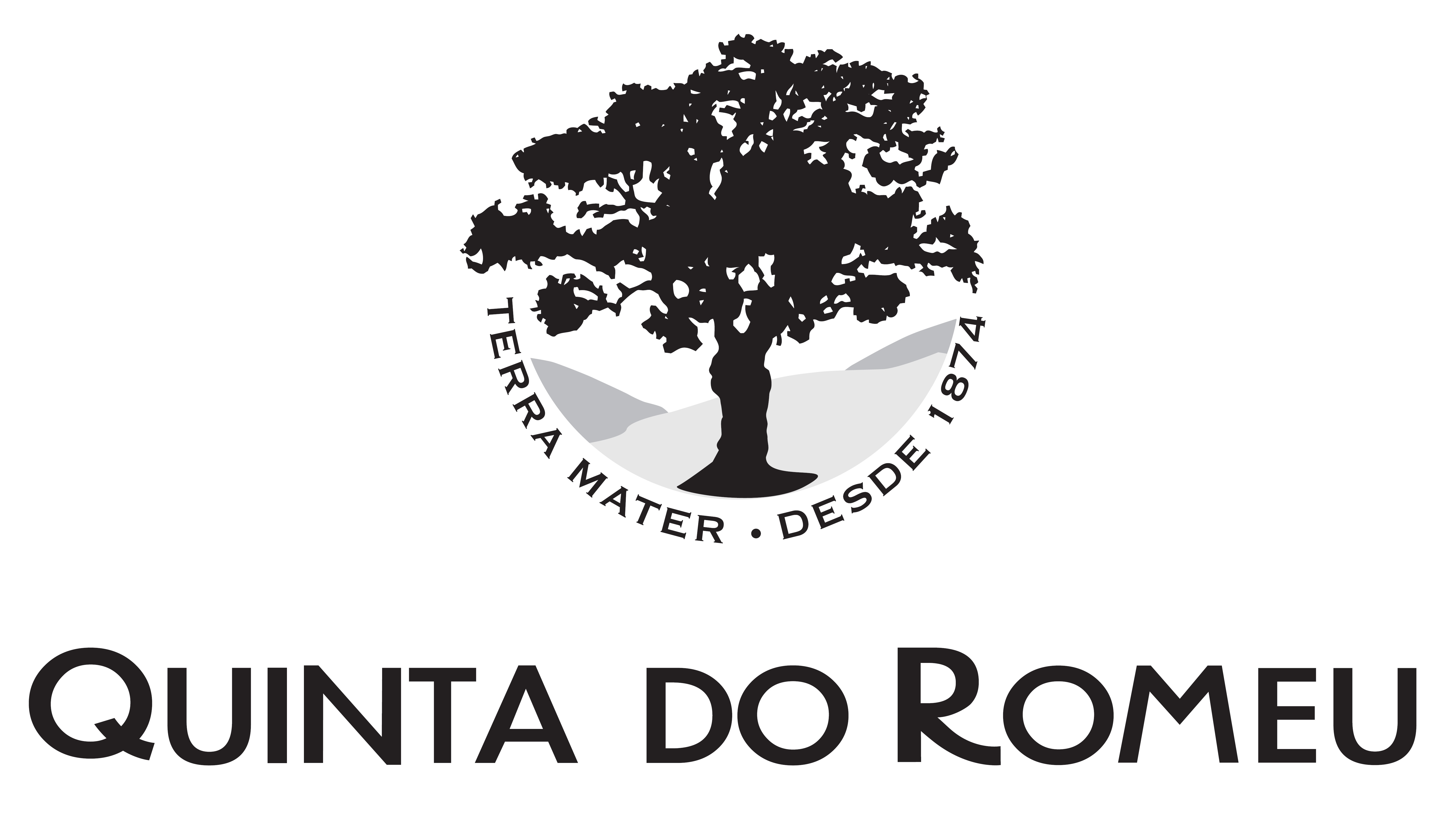 SOC. CLEMENTE MENÉRES, LDA.