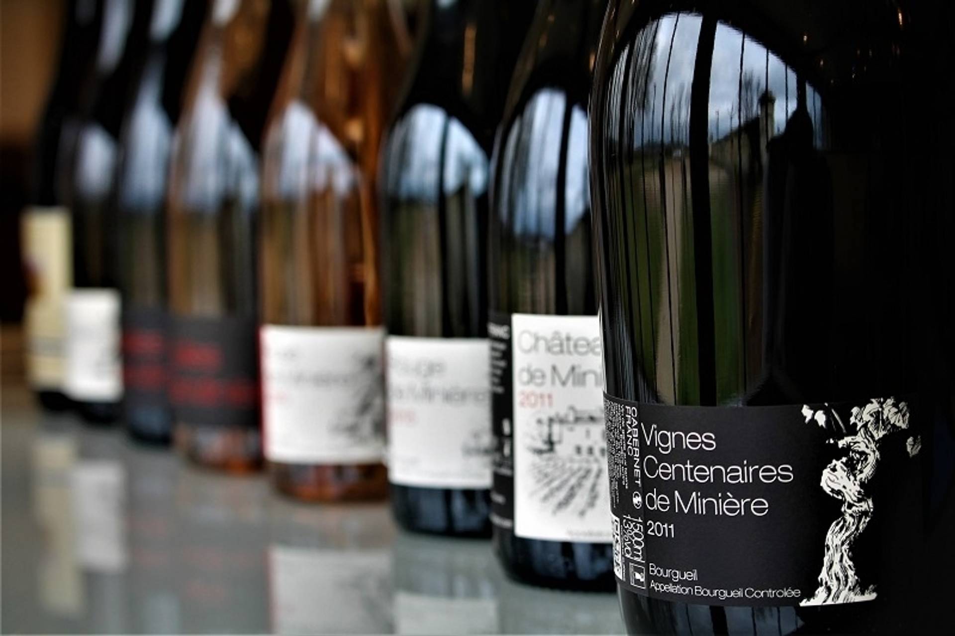 Wine tasting in the cellar