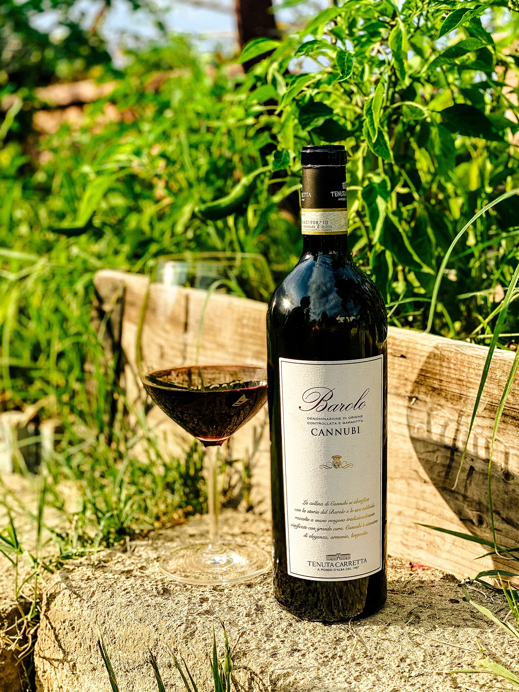 “Unique” Sensory Experiences – The Reserves