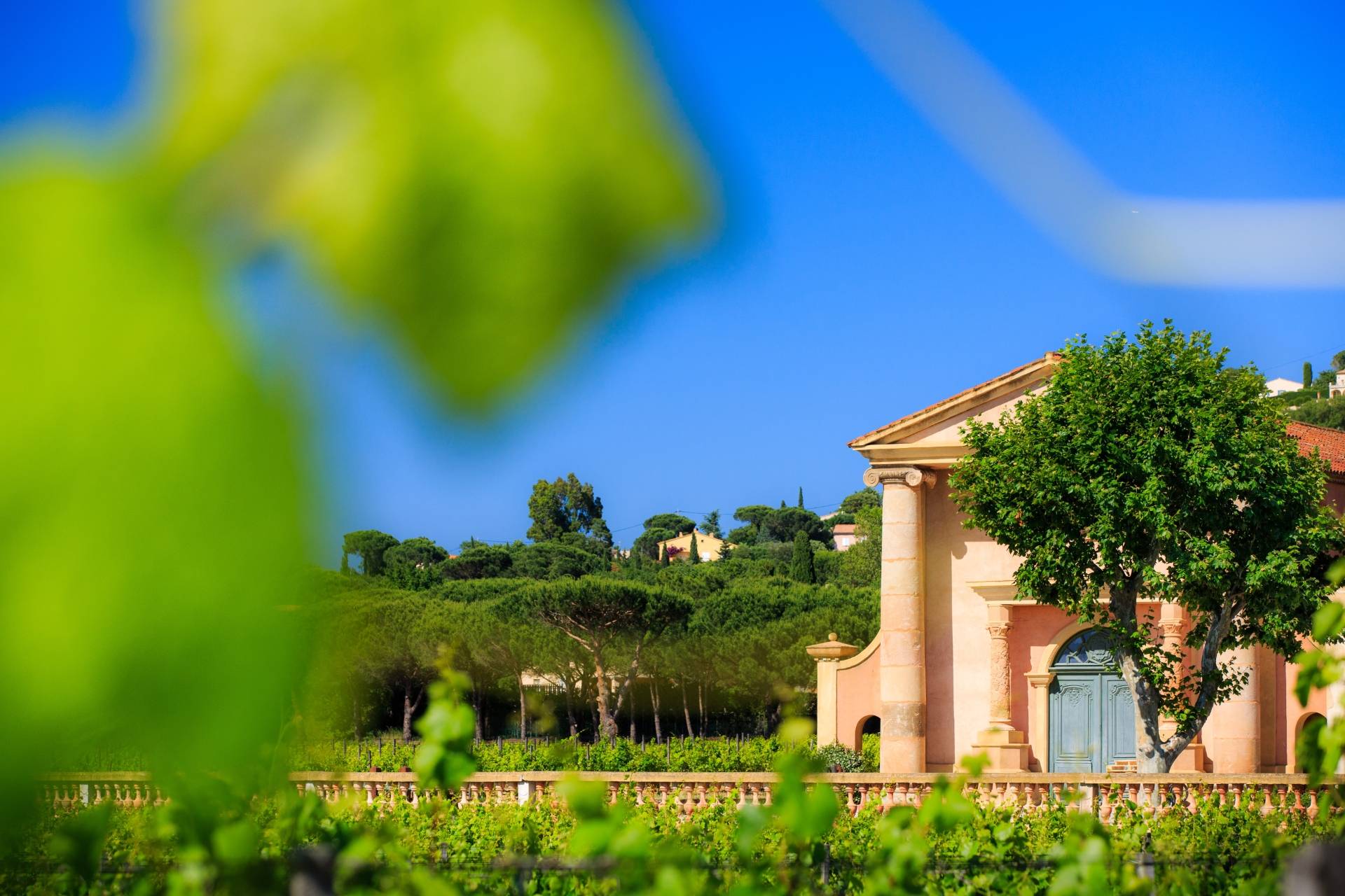 Signature Tour & Tasting