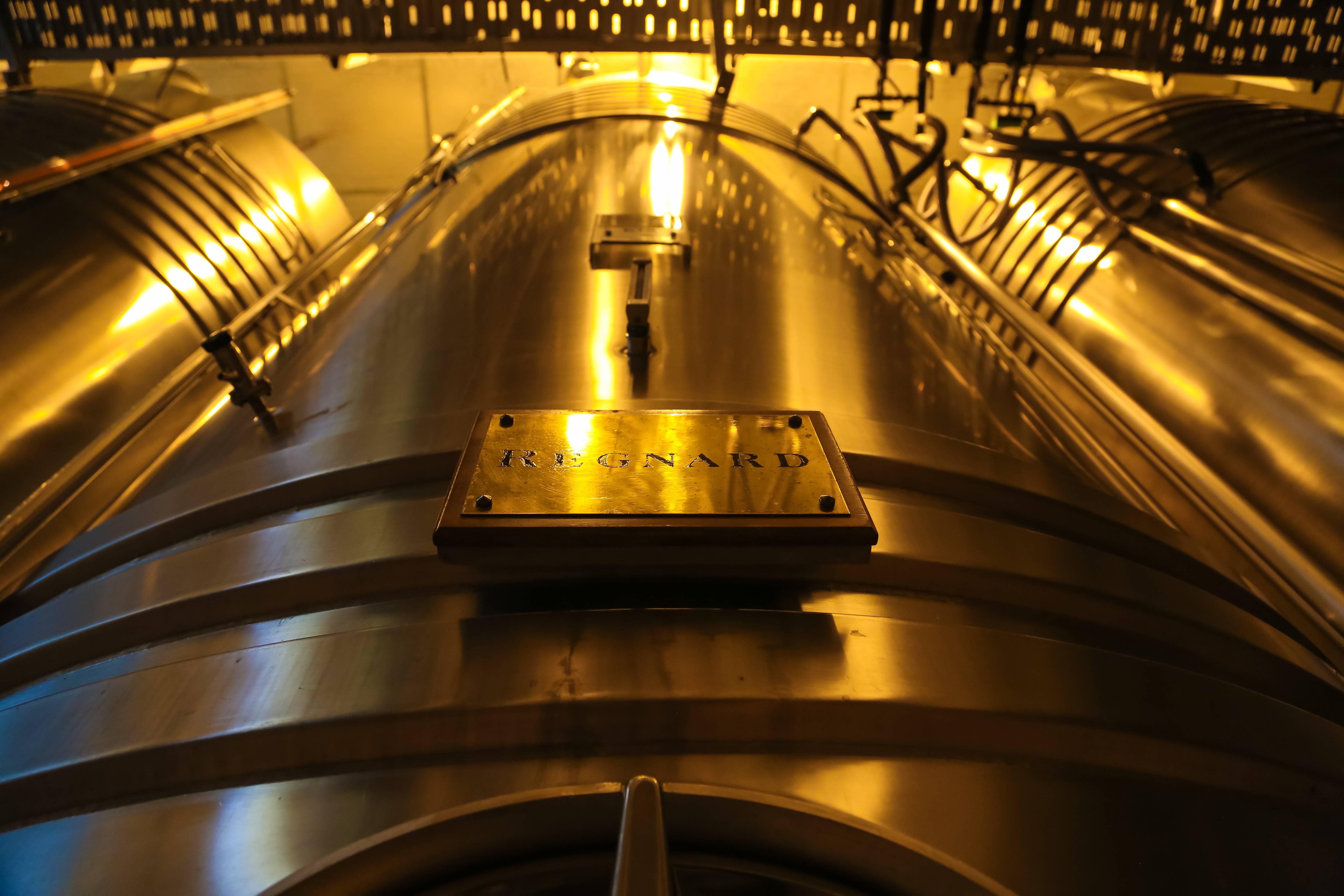 Discovery of the prestigious Maison Régnard