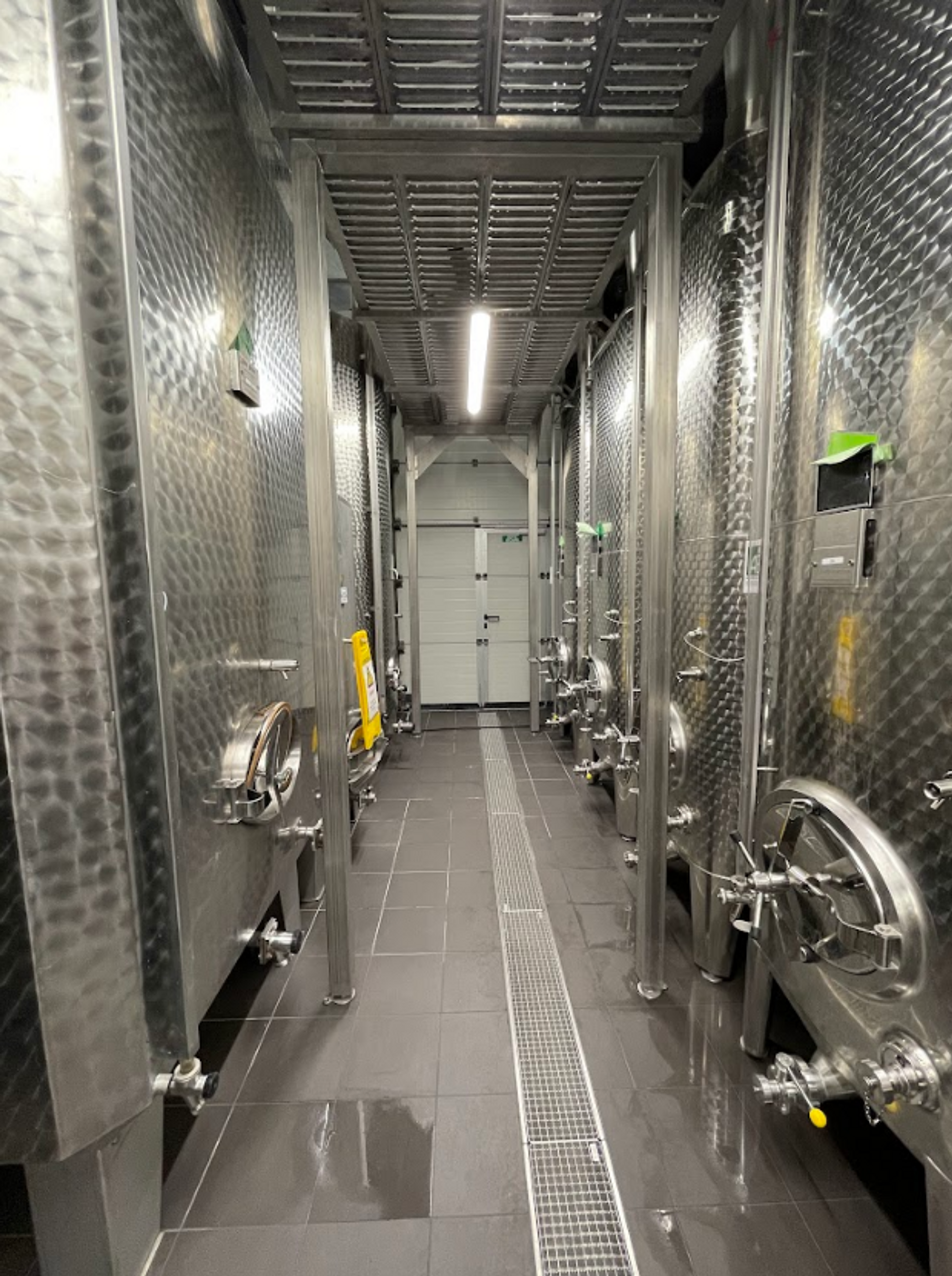 Cellar visit and guided tasting of 4 wines