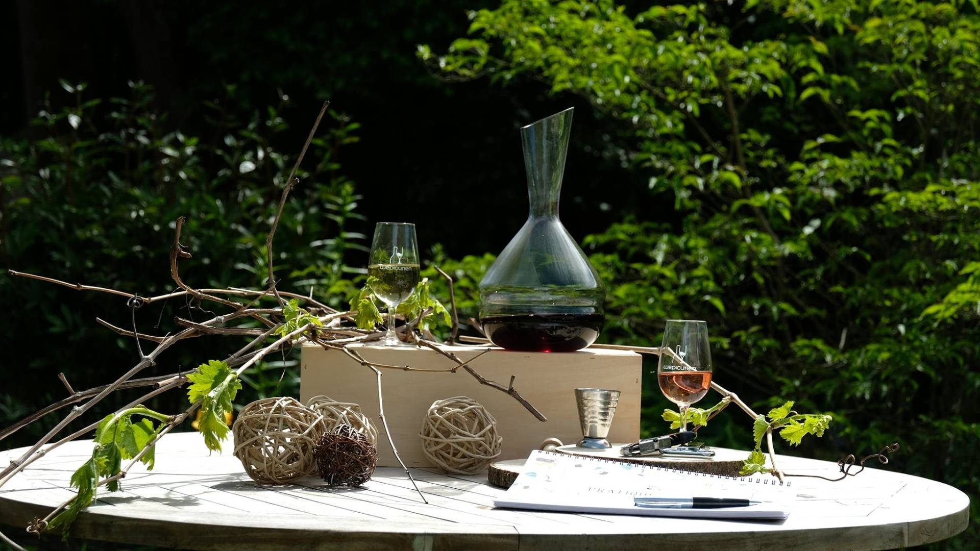 Wine tasting & Chef cooking workshop!