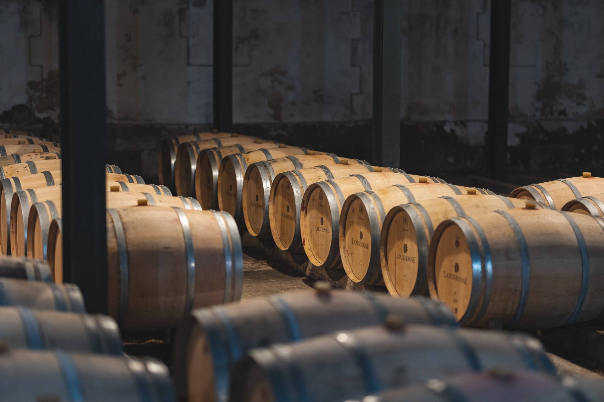 Visit and tasting at Château Loudenne