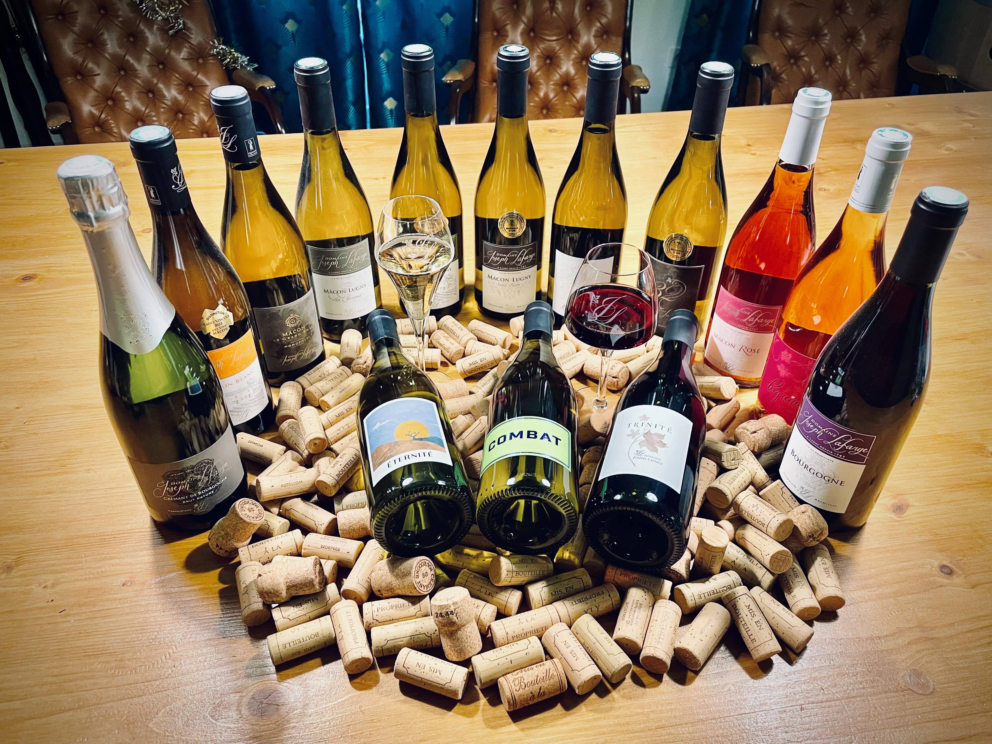 Wine tasting courses in Burgundy – family estate