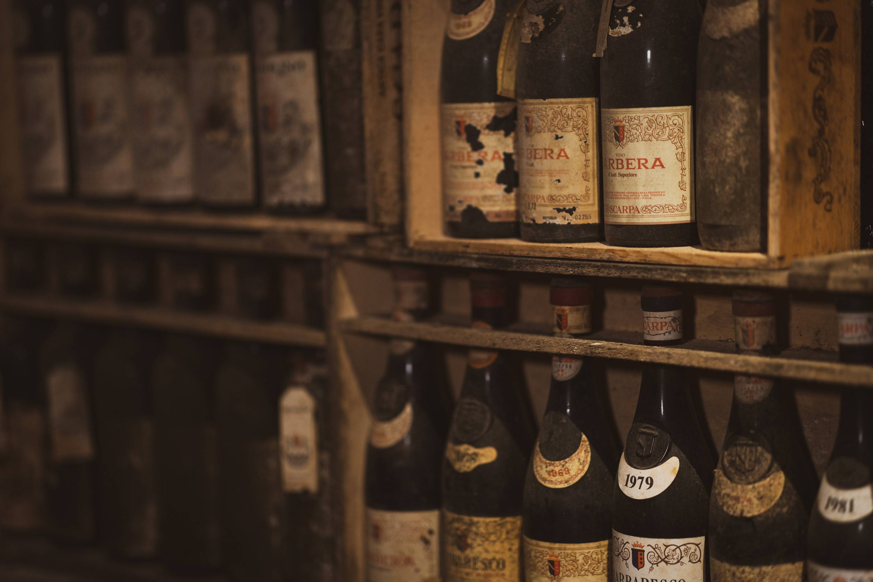 Vintage depth of rare Piedmontese vines