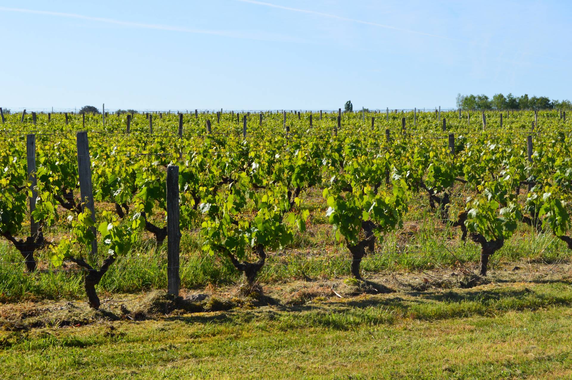 Visit of an estate in Touraine