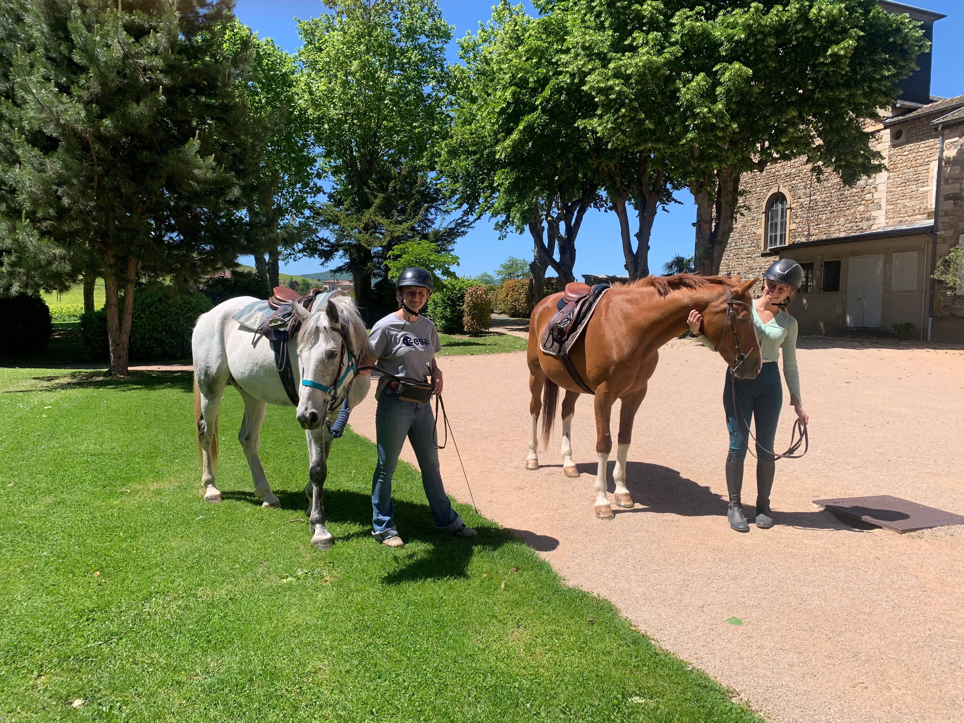 Horseback riding, tour and tasting at the château