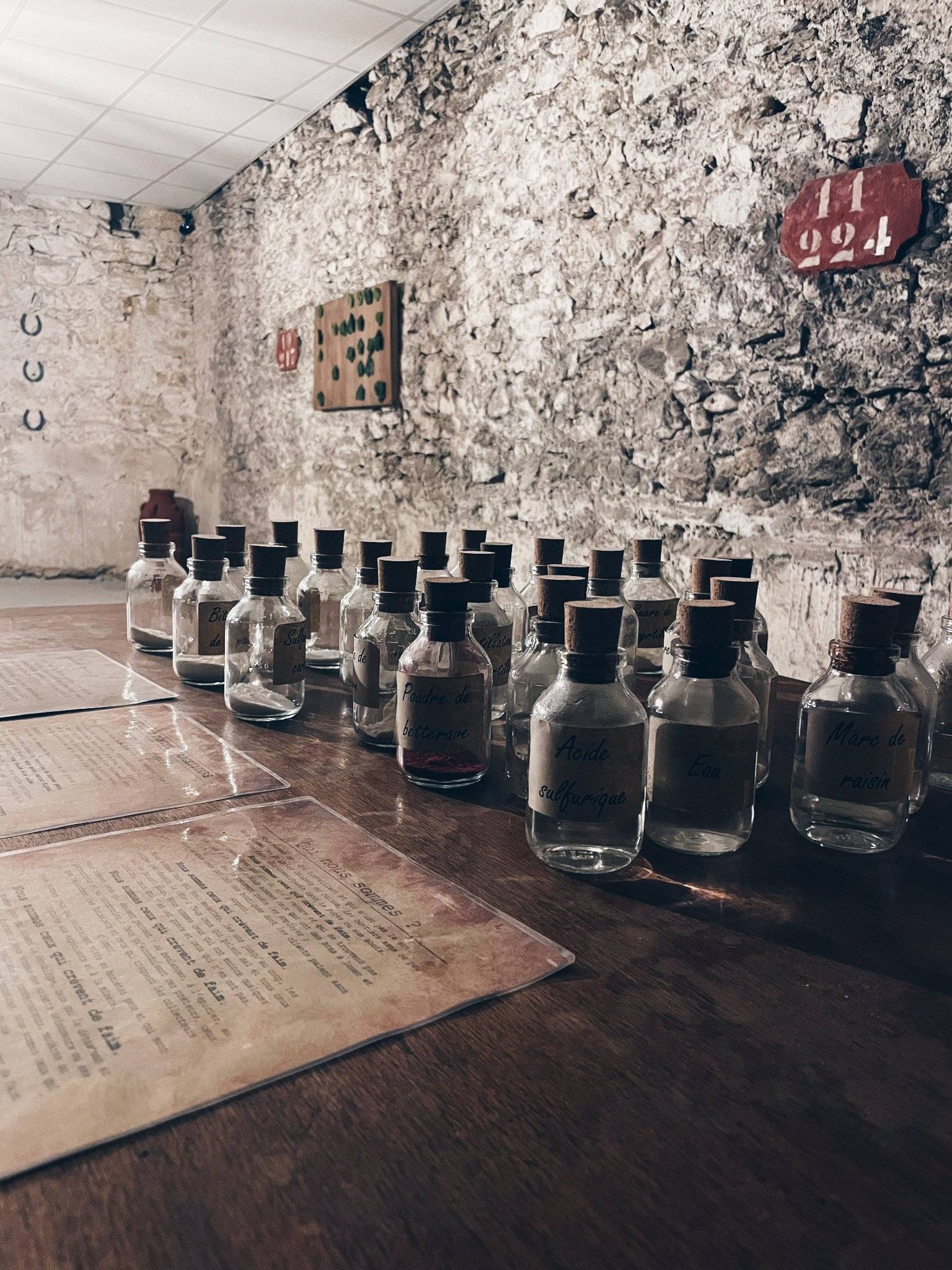 Escape Game at Luc Castle