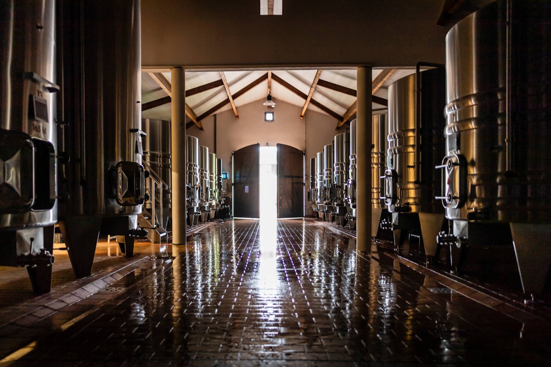 Invitation to discovery