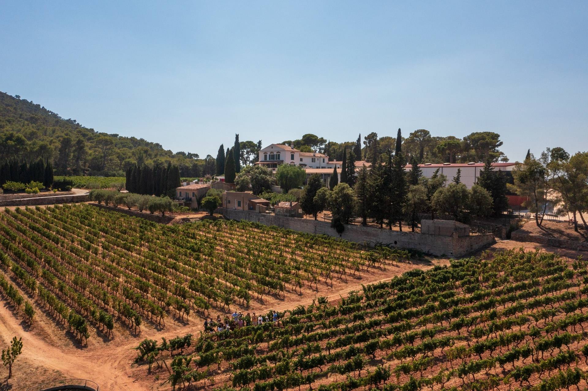 Winegrower’s Adventure