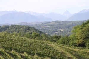 CLOS LAPEYRE