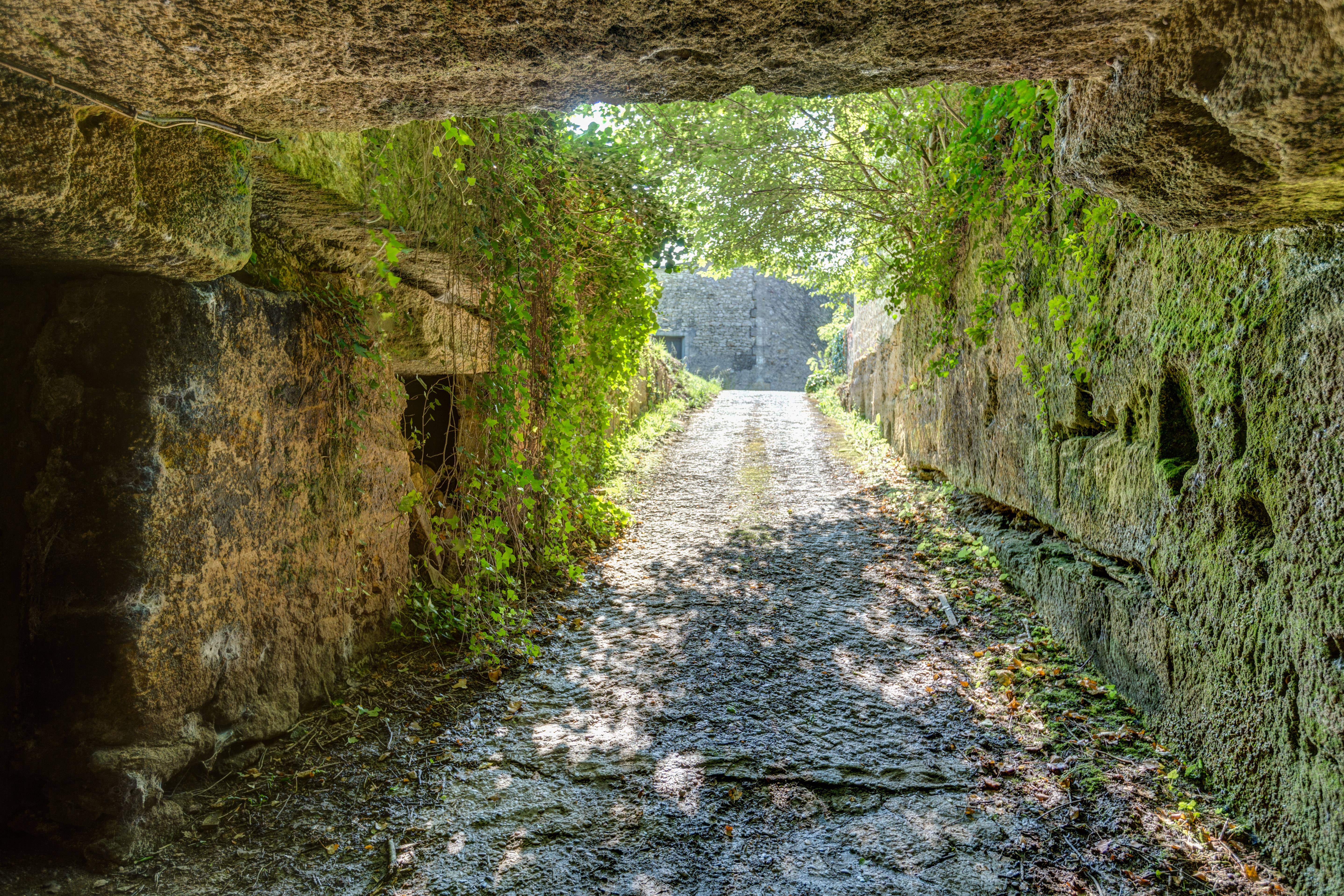 Guided tour and walking trail