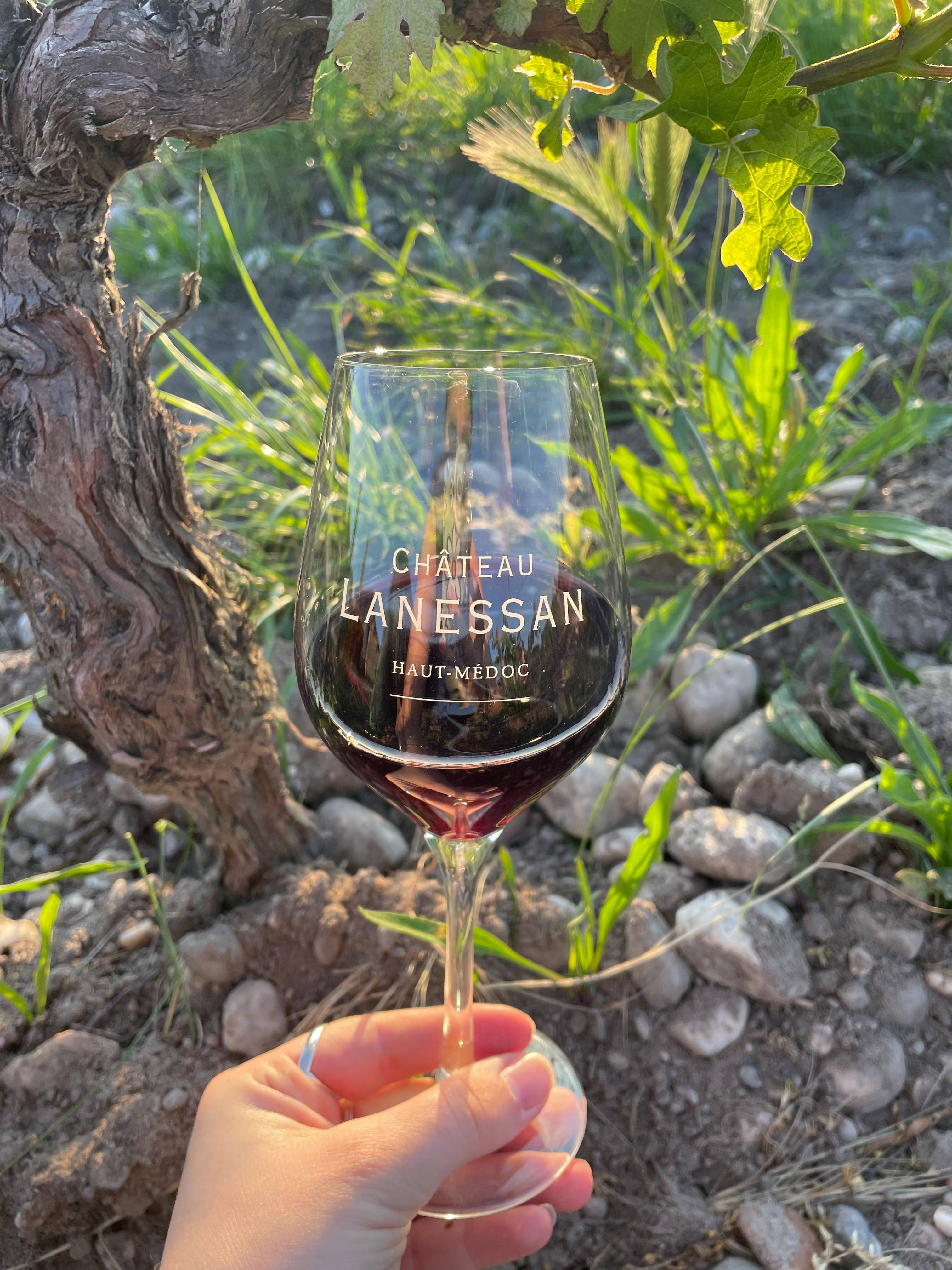 Blending workshop: Challenge to create your own wine