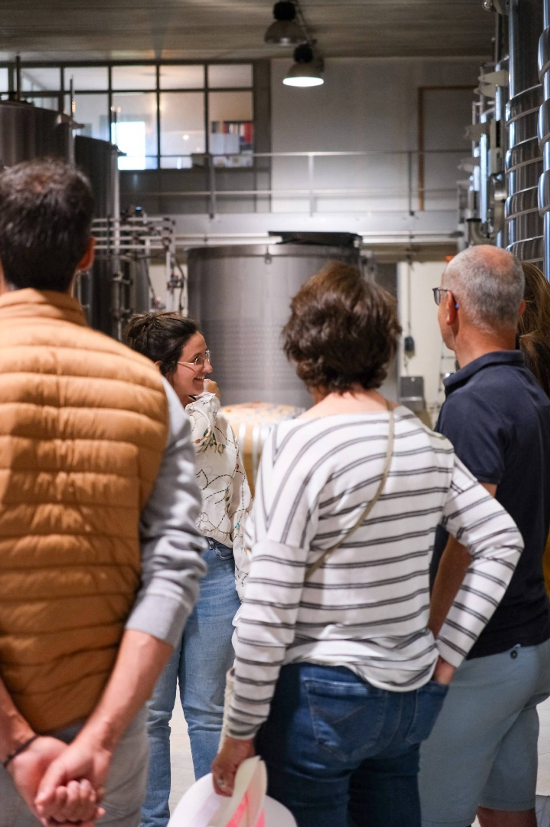 Vineyard and Wine Immersion