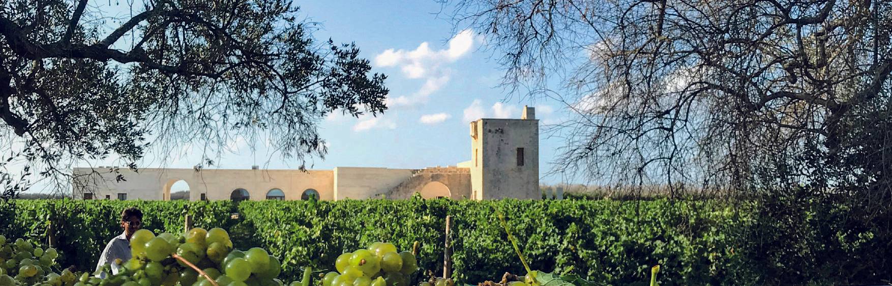 The Two Kings of Salento