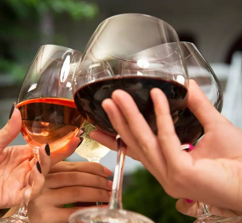 Tour + tasting (2 wines)