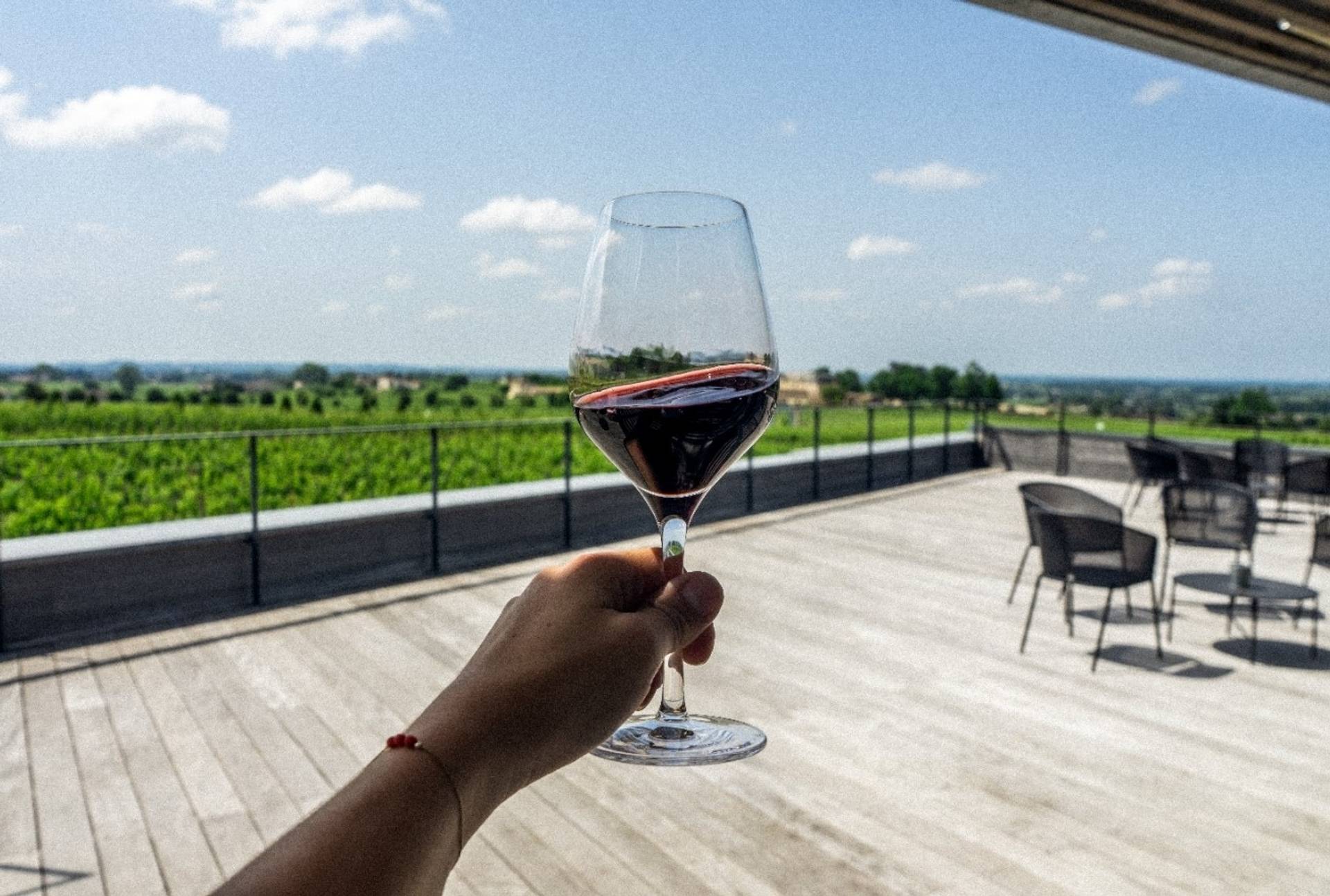 Guided tasting of 3 wines