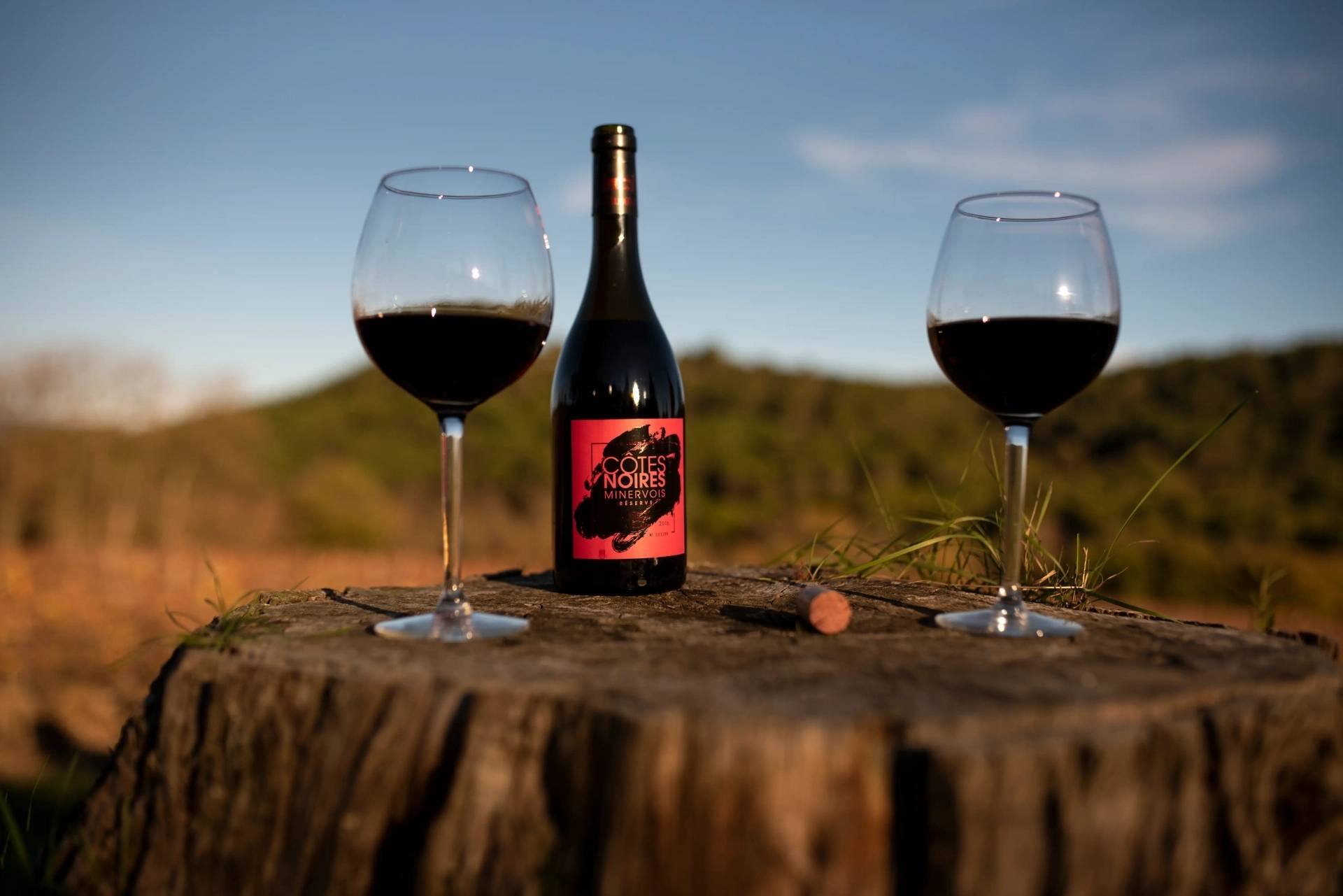 Tasting: discovering the “V” of the Villatade