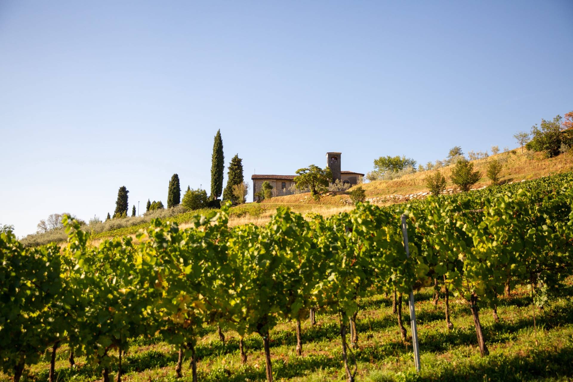 CAMILUCCI FRANCIACORTA