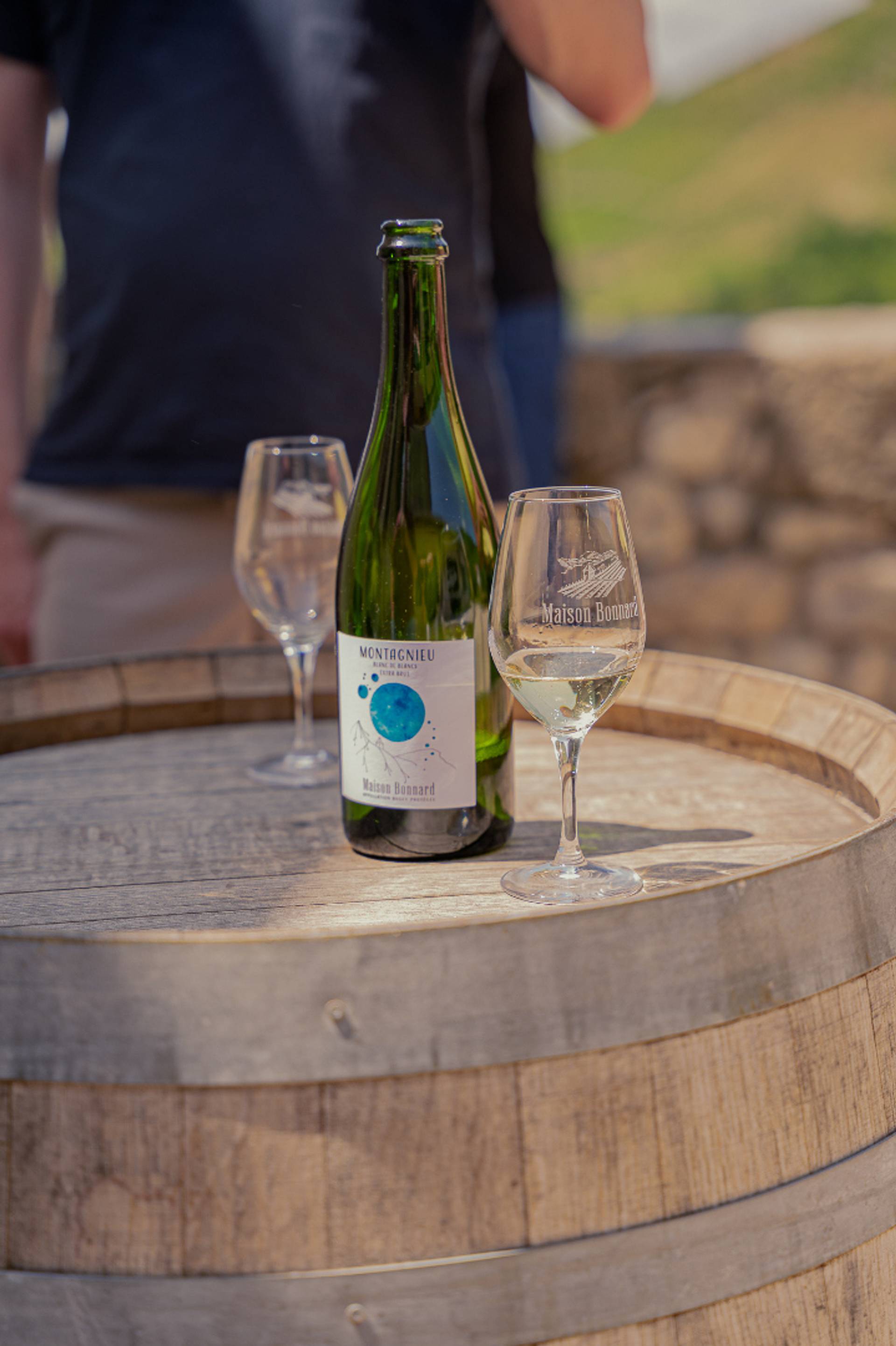 Tasting with a view of the vineyards