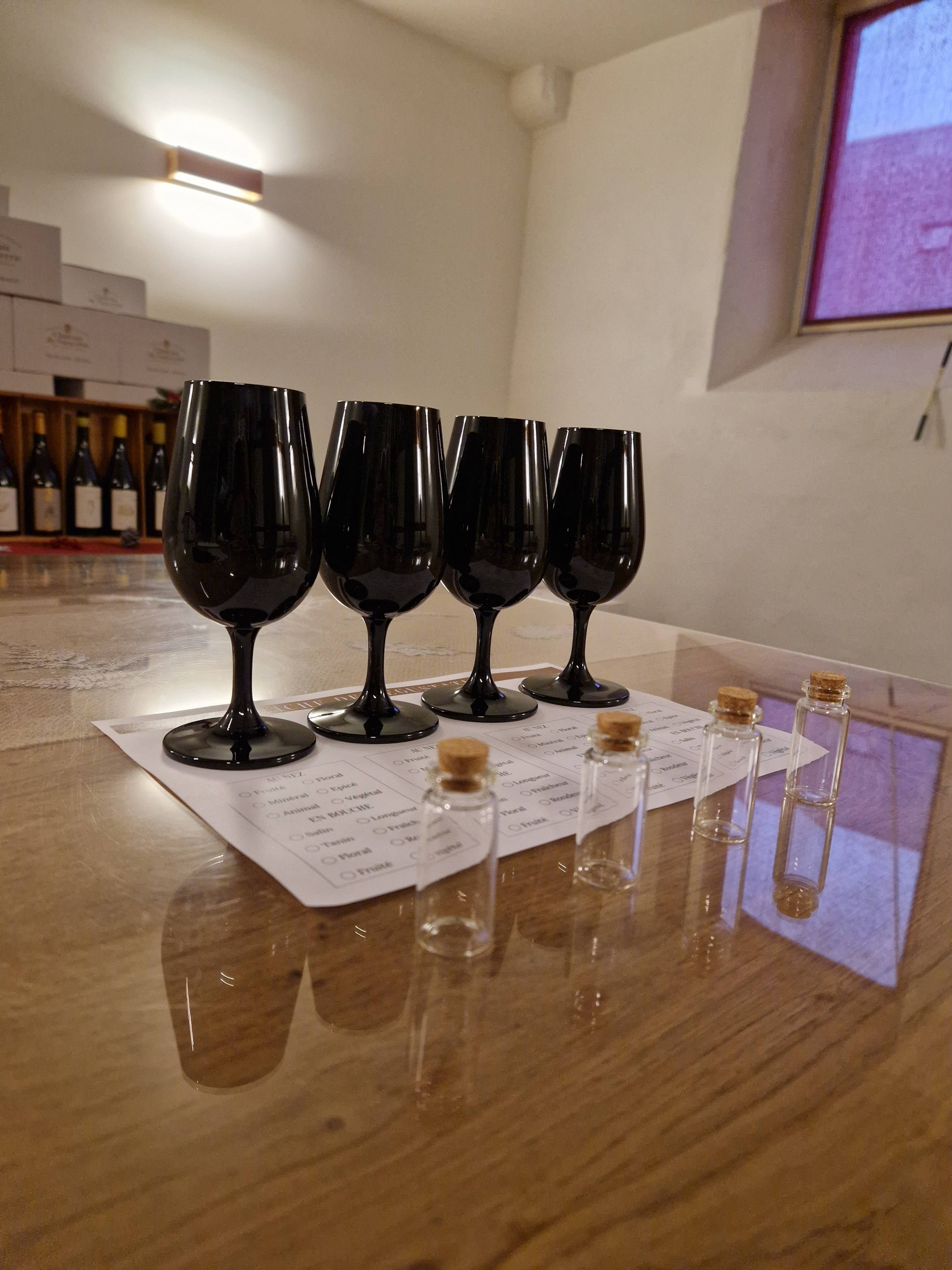 Journey to the heart of the senses