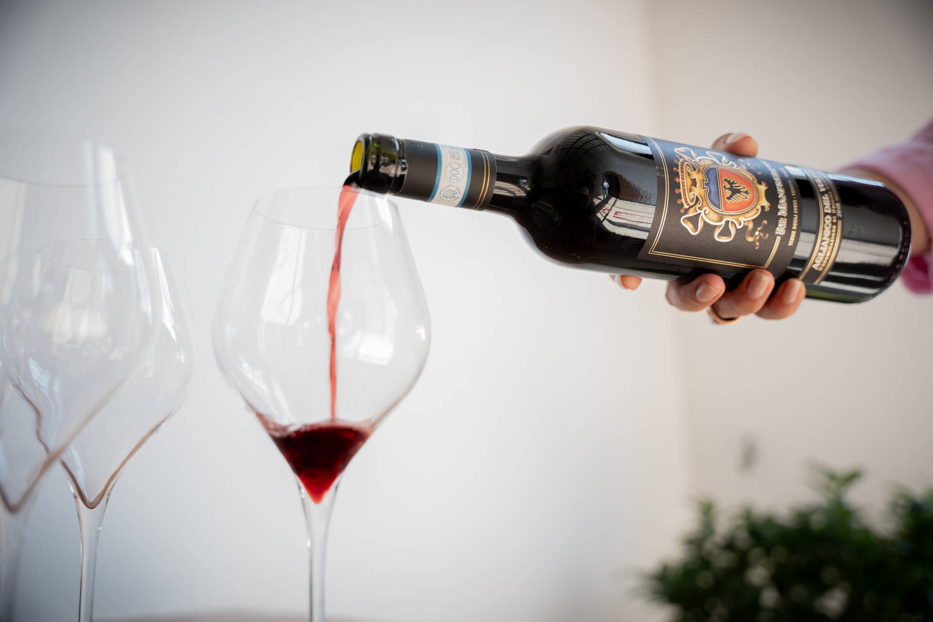 Journey to discover the Vulture