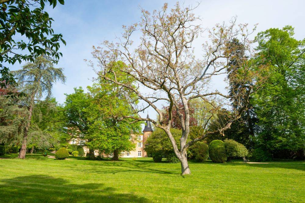 Estate visit and tasting