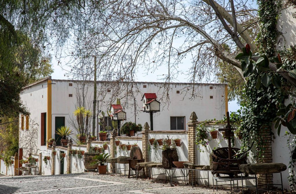 Gourmet Tasting of Special Vinegars