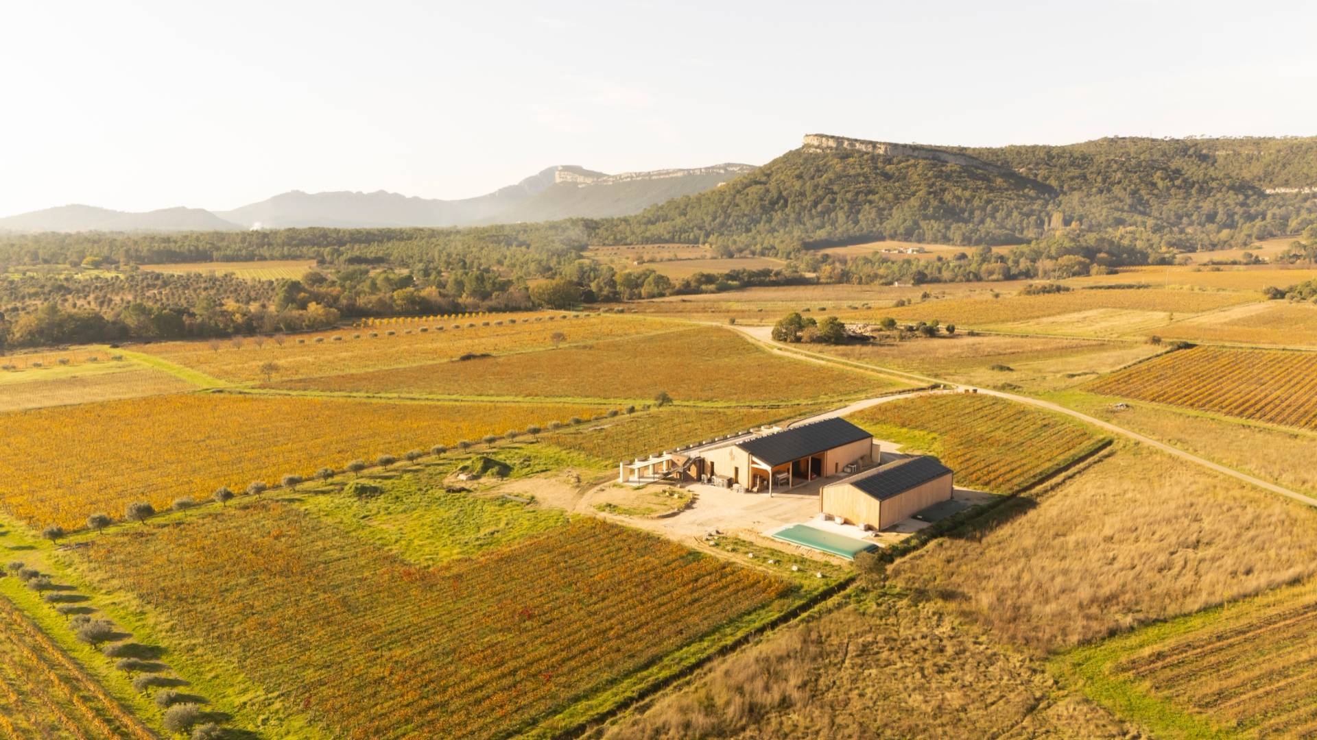 The Prestige tour and tasting