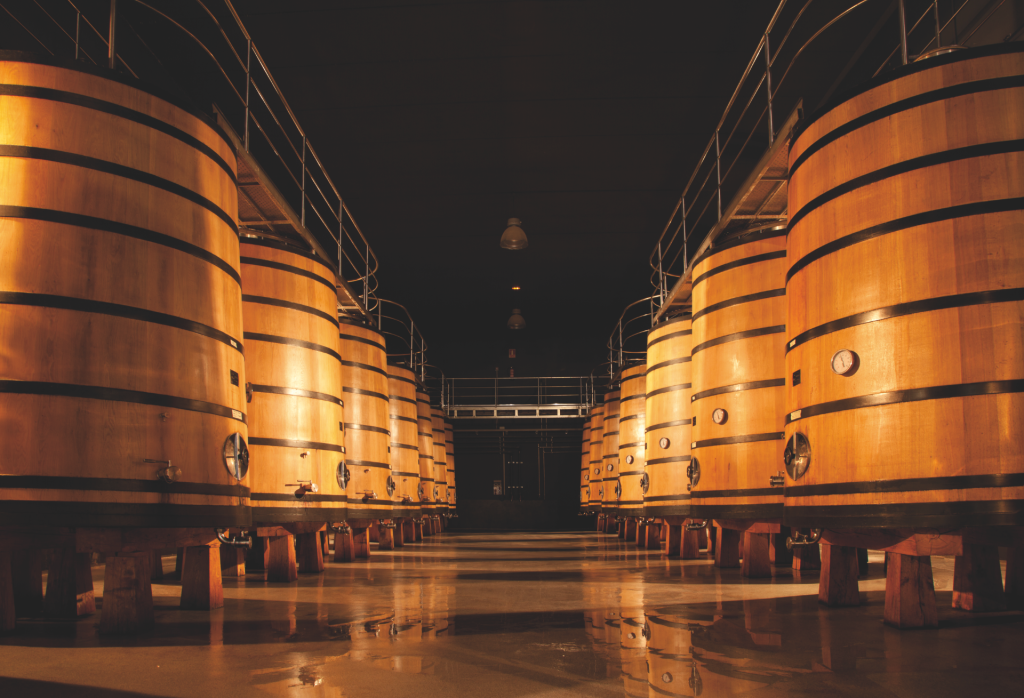 Martínez Lacuesta Visit: Culture, Wines, and Vermouths