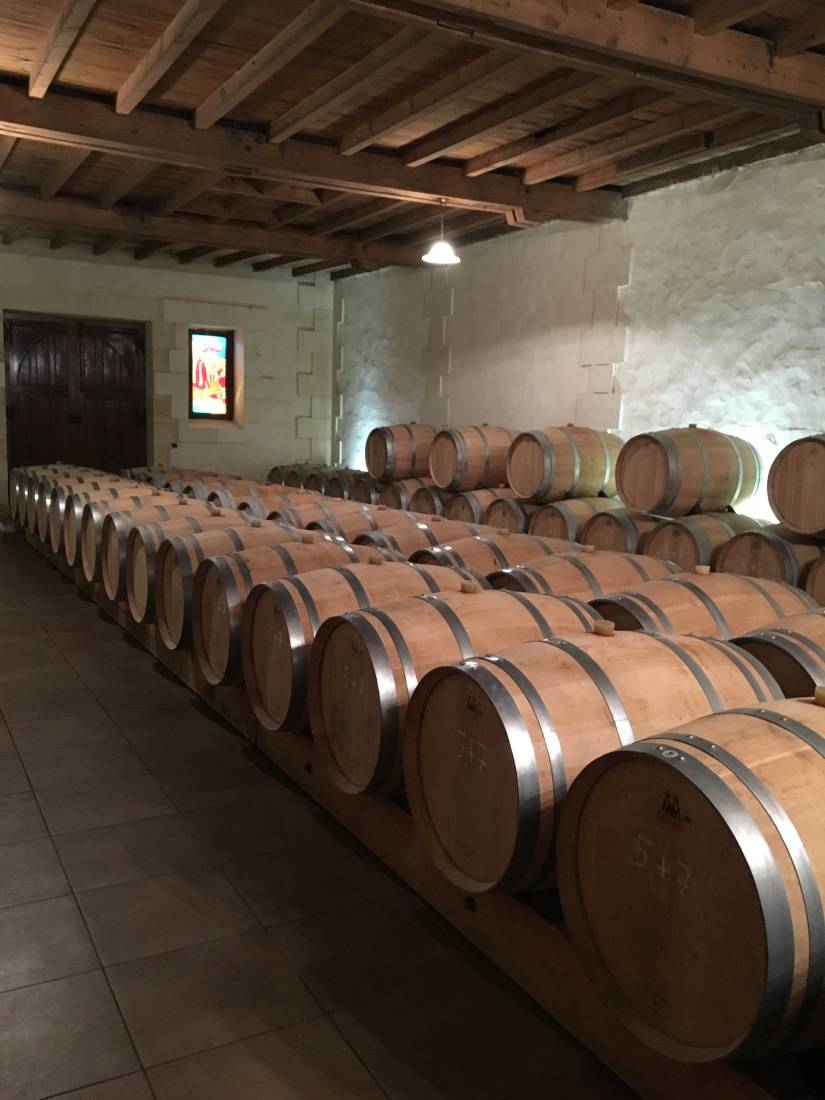 Walk in the vineyards