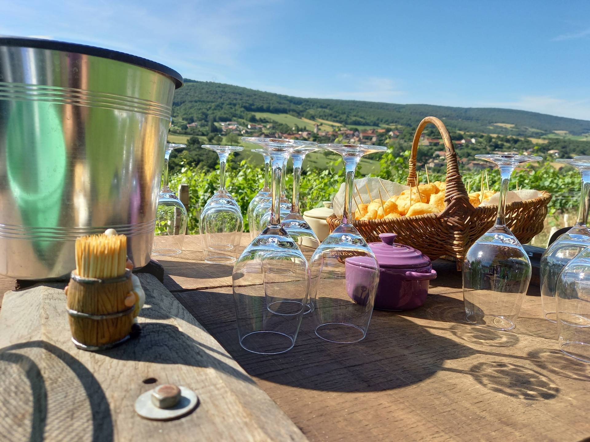 Tasting in the vineyards and guided tour