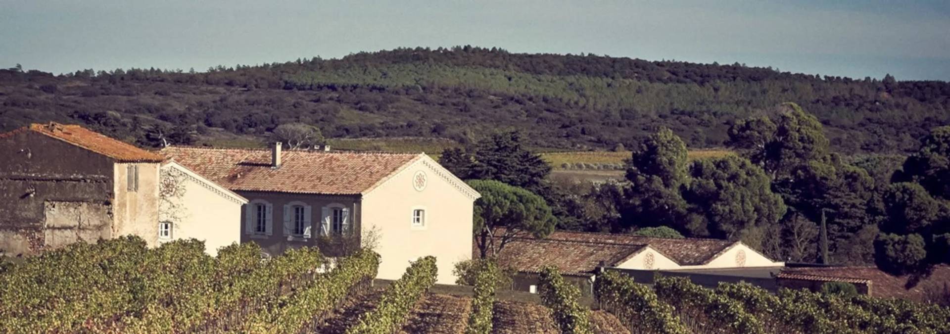 DOMAINE D’AUSSIÈRES