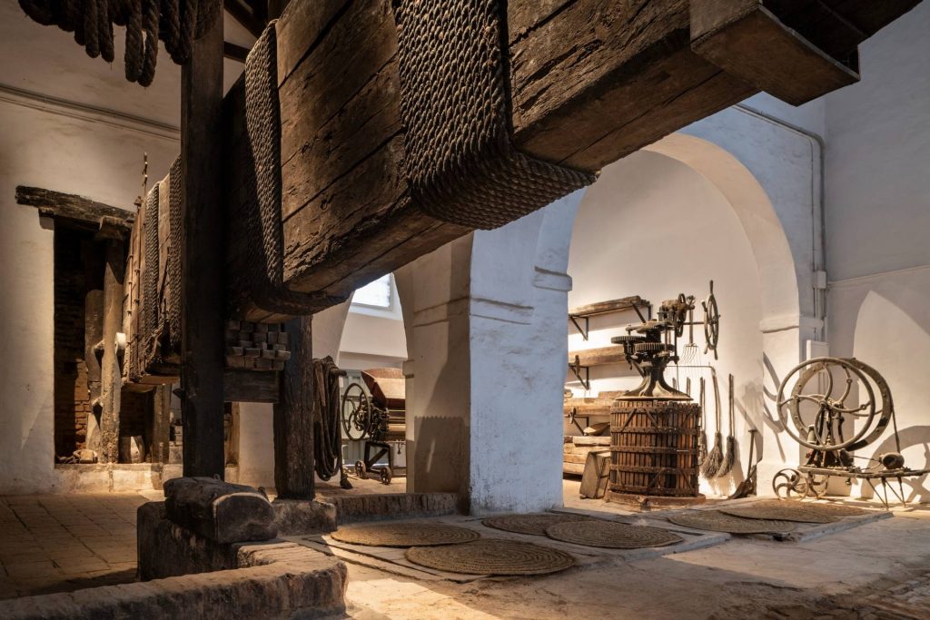 Premium Sensory Tour