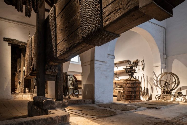 Premium Sensory Tour