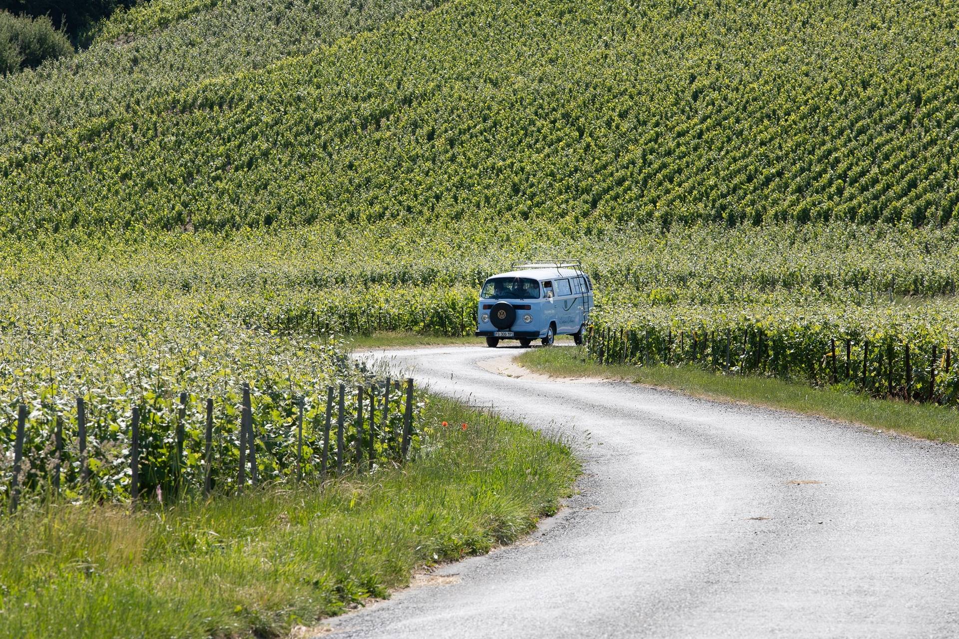 CHAMPAGNE LÉVÊQUE DEHAN