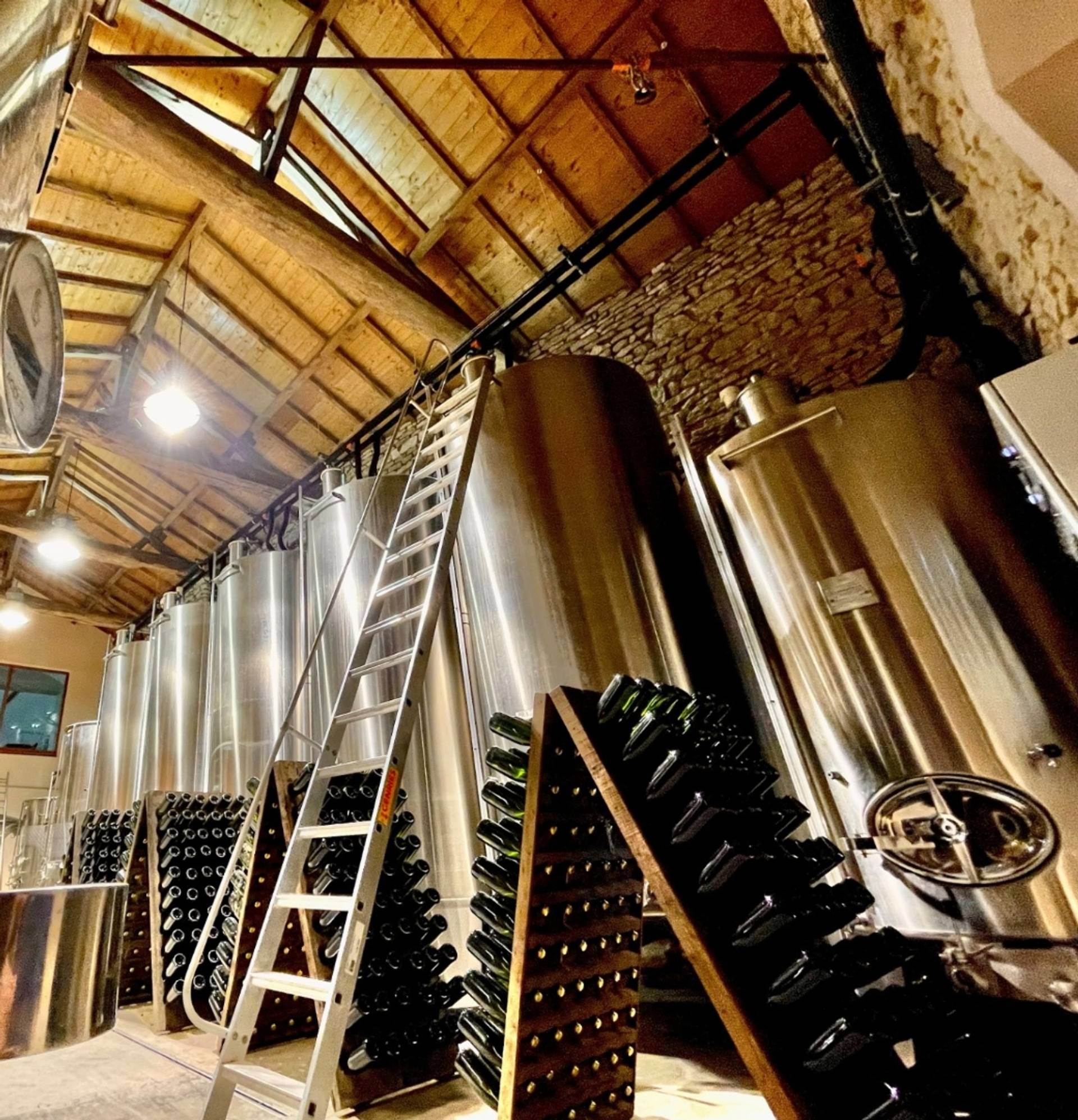 Exclusive tasting in Burgundy