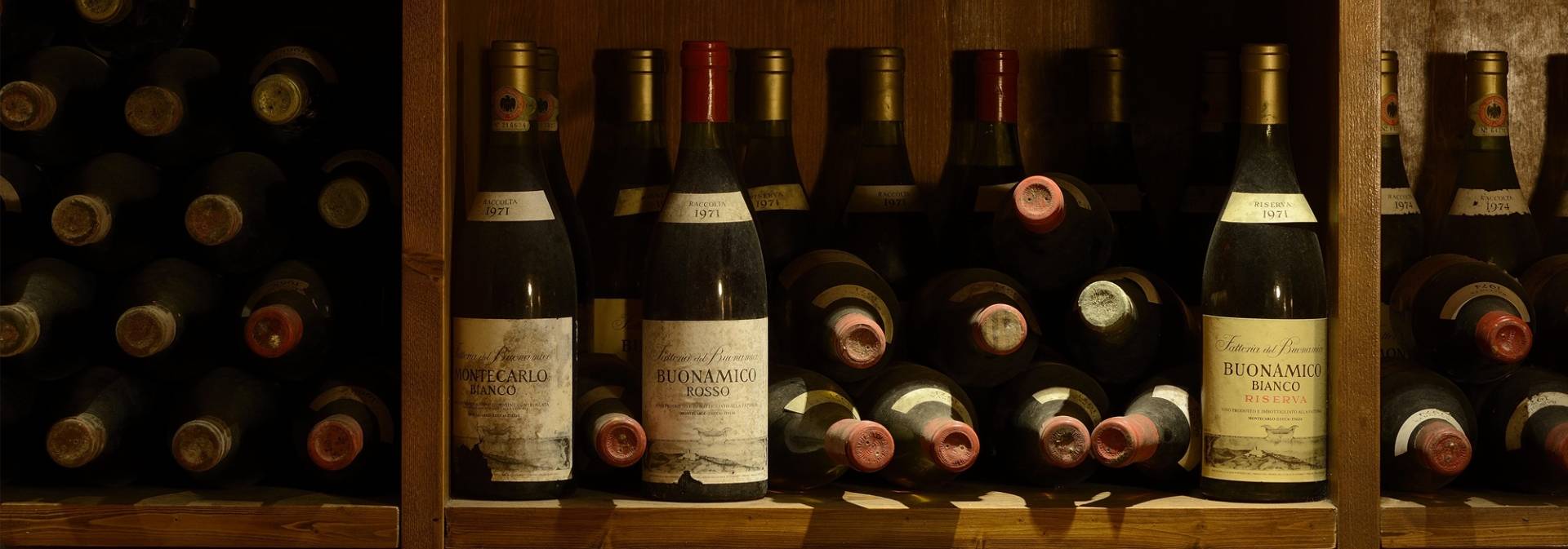 A day as a winemaker