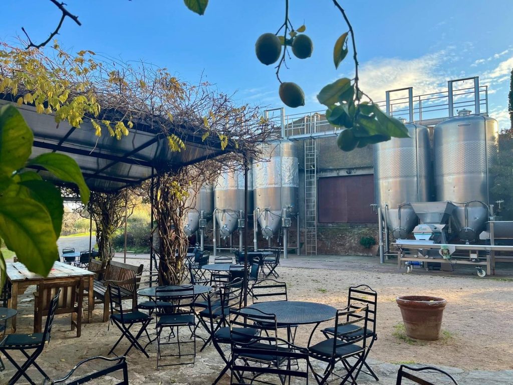 Wine tasting on terraces