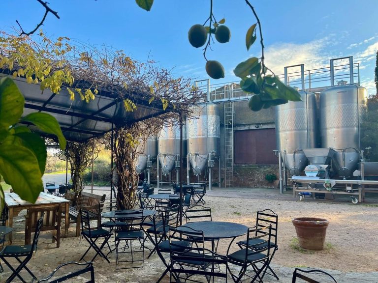 Wine tasting on terraces