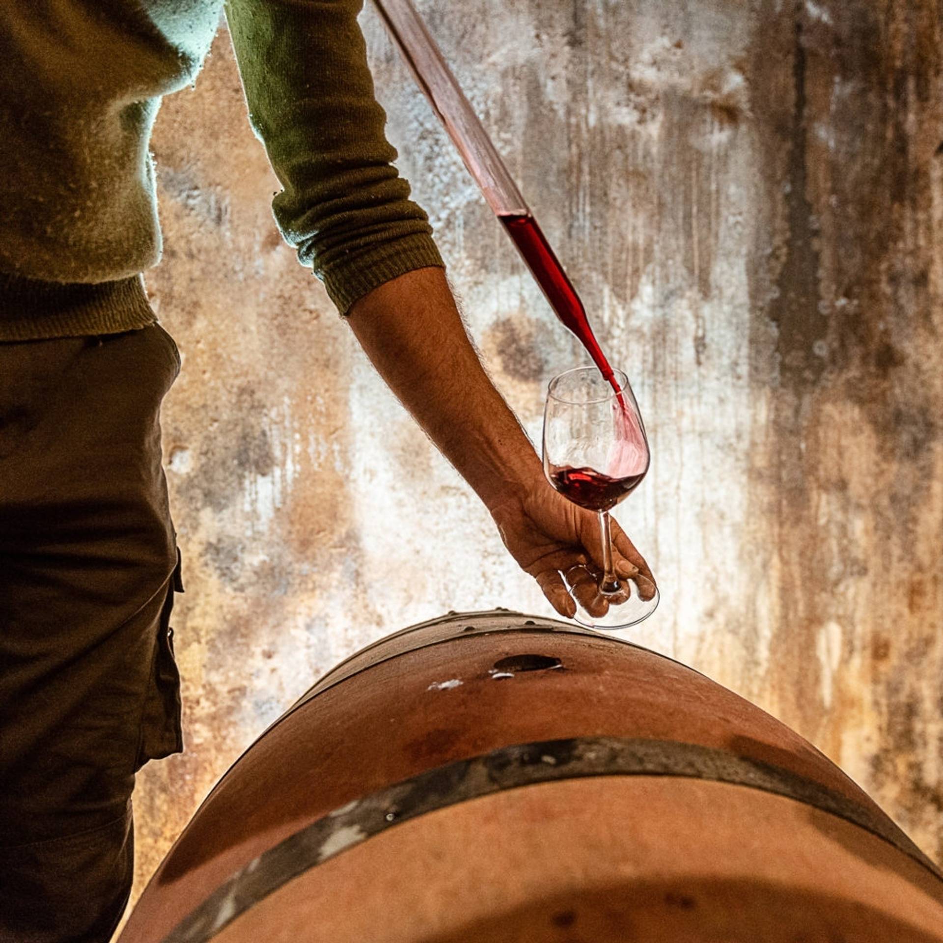 Tuscan wines from the natural rhythms of the vine – 3 wines