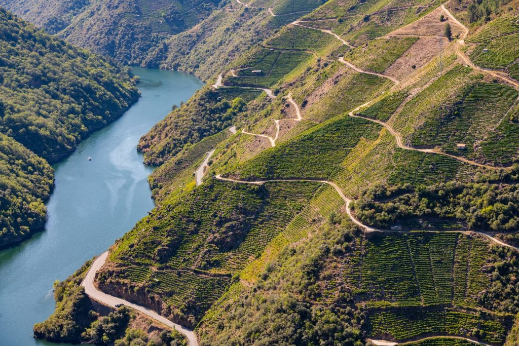 Let yourself be captivated by Terras Gauda